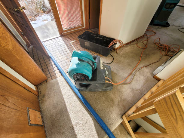 Professional Water damage restoration in TX