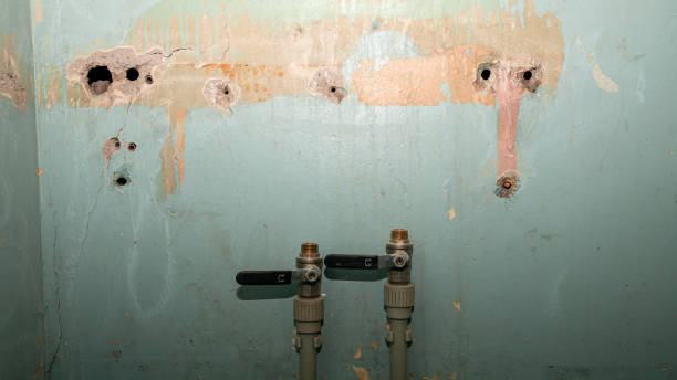 Best Flood damage cleanup  in La Villa, TX