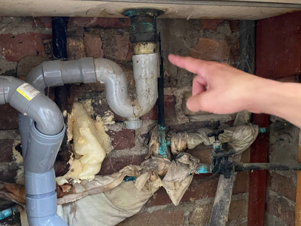 Best Basement water damage restoration  in La Villa, TX