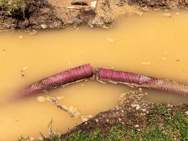 Best Professional water damage repair  in La Villa, TX